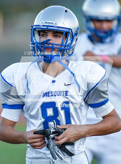 Thumbnail 3 in Mesquite @ Marcos de Niza photogallery.