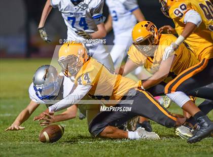 Thumbnail 2 in Mesquite @ Marcos de Niza photogallery.