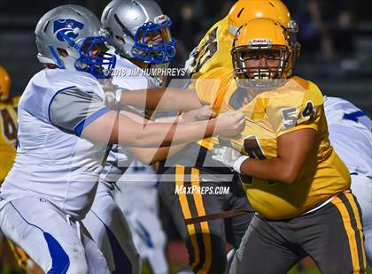 Thumbnail 3 in Mesquite @ Marcos de Niza photogallery.