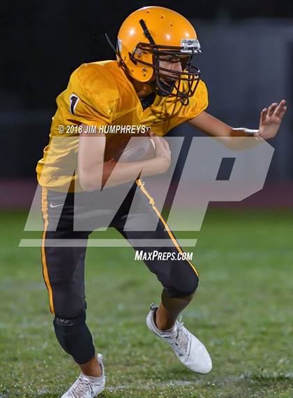 Thumbnail 2 in Mesquite @ Marcos de Niza photogallery.