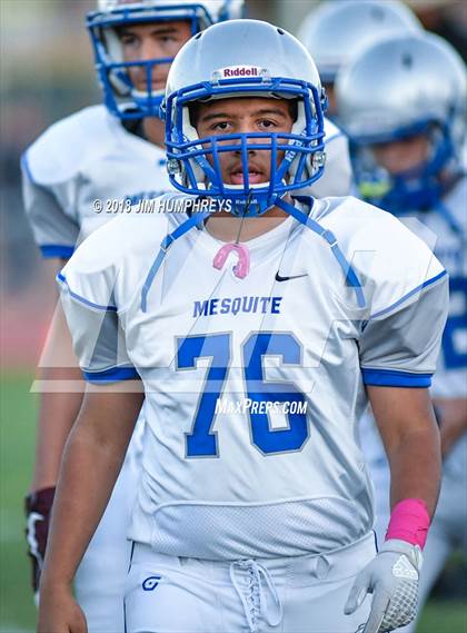 Thumbnail 2 in Mesquite @ Marcos de Niza photogallery.