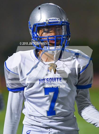 Thumbnail 3 in Mesquite @ Marcos de Niza photogallery.
