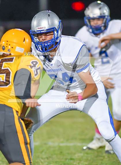 Thumbnail 2 in Mesquite @ Marcos de Niza photogallery.
