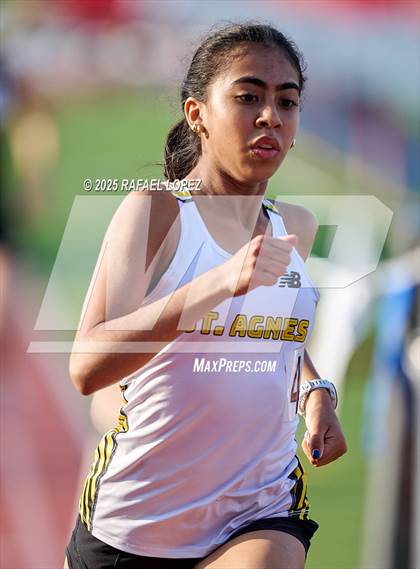 Thumbnail 3 in Eagle No Tax Relays (3200M) photogallery.