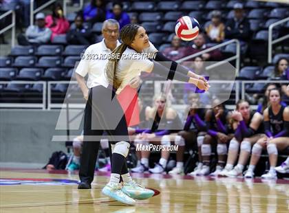 Thumbnail 1 in Fulshear vs. Lovejoy (UIL 5A Volleyball Semifinal) photogallery.