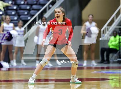 Thumbnail 1 in Fulshear vs. Lovejoy (UIL 5A Volleyball Semifinal) photogallery.