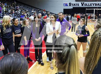 Thumbnail 3 in Fulshear vs. Lovejoy (UIL 5A Volleyball Semifinal) photogallery.