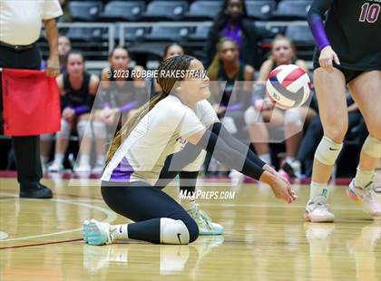 Thumbnail 3 in Fulshear vs. Lovejoy (UIL 5A Volleyball Semifinal) photogallery.