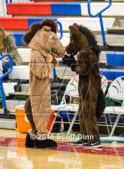 Thumbnail 1 in Homestead vs. Bellarmine College Prep (CIF CCS D1 Semifinal) photogallery.
