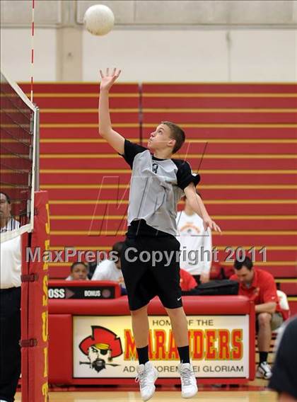 Thumbnail 1 in Ponderosa @ Jesuit photogallery.