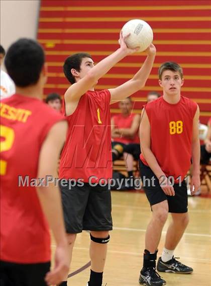 Thumbnail 1 in Ponderosa @ Jesuit photogallery.