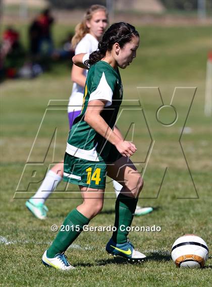 Thumbnail 1 in Tokay vs Placer (Buffalo Cup) photogallery.
