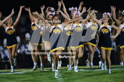 Thumbnail 1 in Neuqua Valley photogallery.