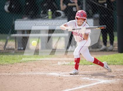 Thumbnail 3 in Los Alamitos vs. Foothill photogallery.