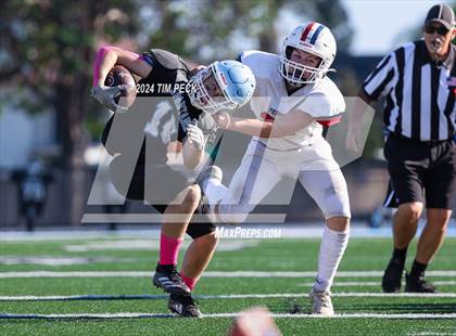 Thumbnail 3 in Tesoro @ Villa Park photogallery.