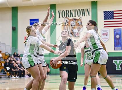 Thumbnail 3 in Northeastern @ Yorktown photogallery.