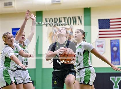 Thumbnail 1 in Northeastern @ Yorktown photogallery.