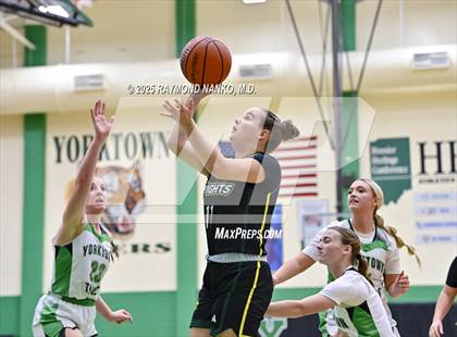 Thumbnail 2 in Northeastern @ Yorktown photogallery.