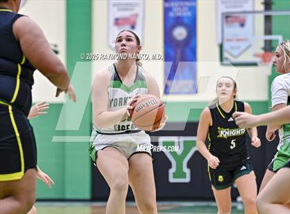 Thumbnail 1 in Northeastern @ Yorktown photogallery.