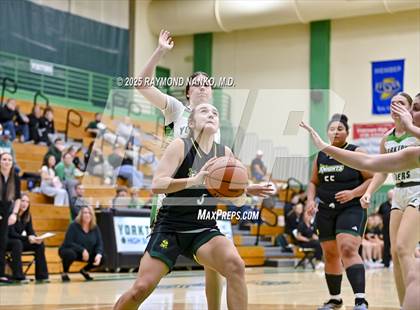 Thumbnail 2 in Northeastern @ Yorktown photogallery.