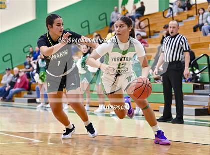 Thumbnail 1 in Northeastern @ Yorktown photogallery.