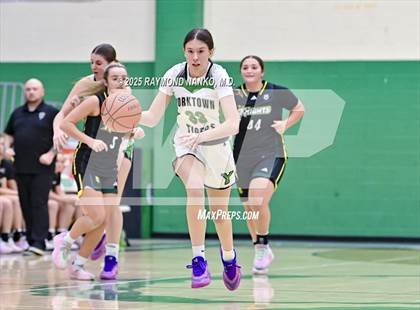 Thumbnail 3 in Northeastern @ Yorktown photogallery.