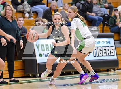 Thumbnail 1 in Northeastern @ Yorktown photogallery.