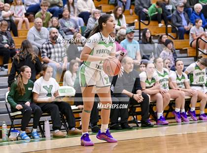 Thumbnail 2 in Northeastern @ Yorktown photogallery.