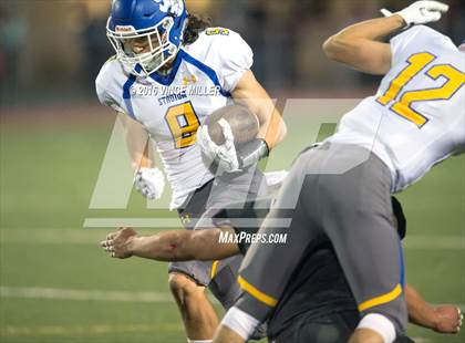 Thumbnail 2 in Stadium @ Bonney Lake photogallery.