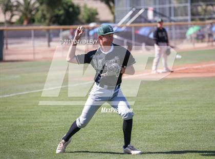 Thumbnail 2 in Basha @ Hamilton photogallery.