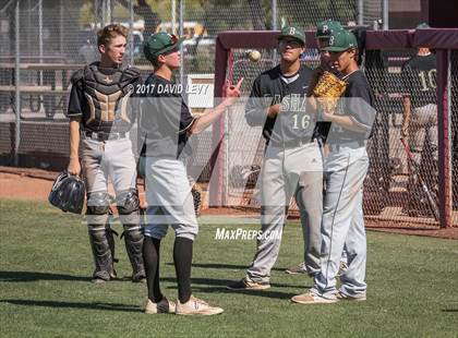Thumbnail 2 in Basha @ Hamilton photogallery.