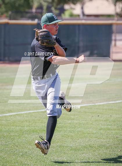 Thumbnail 1 in Basha @ Hamilton photogallery.