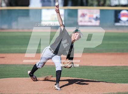 Thumbnail 1 in Basha @ Hamilton photogallery.