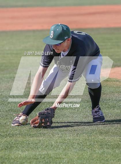 Thumbnail 3 in Basha @ Hamilton photogallery.