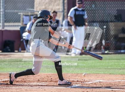 Thumbnail 3 in Basha @ Hamilton photogallery.