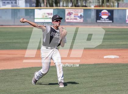 Thumbnail 3 in Basha @ Hamilton photogallery.