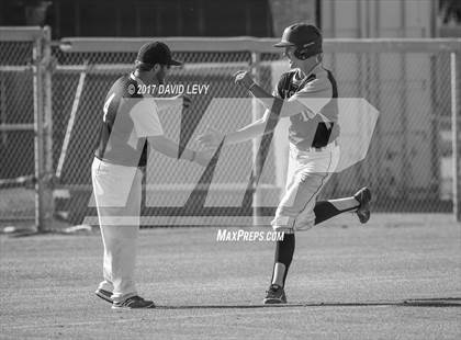 Thumbnail 3 in Basha @ Hamilton photogallery.