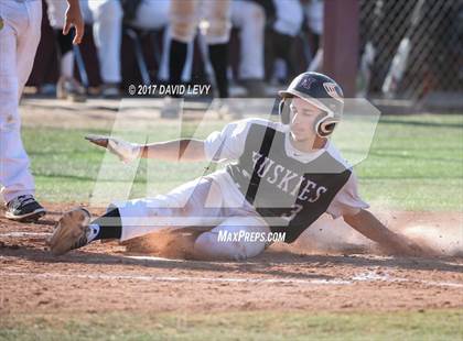 Thumbnail 3 in Basha @ Hamilton photogallery.