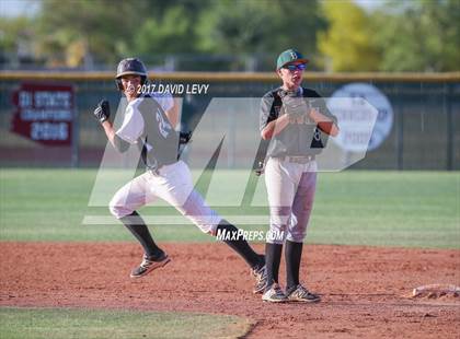 Thumbnail 1 in Basha @ Hamilton photogallery.
