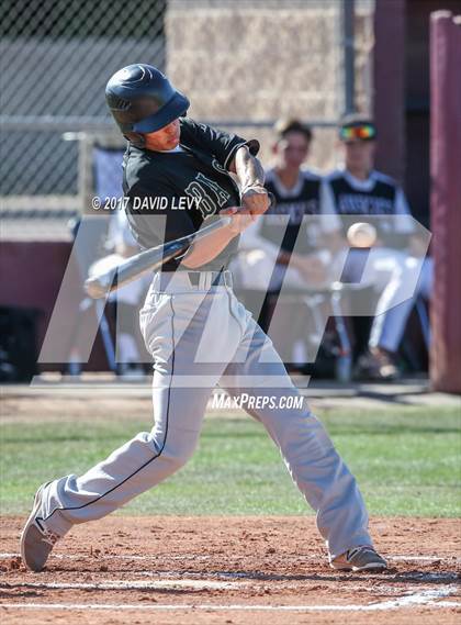 Thumbnail 2 in Basha @ Hamilton photogallery.