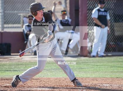 Thumbnail 2 in Basha @ Hamilton photogallery.