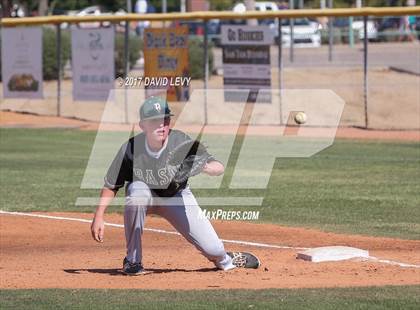 Thumbnail 3 in Basha @ Hamilton photogallery.