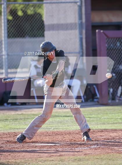 Thumbnail 2 in Basha @ Hamilton photogallery.