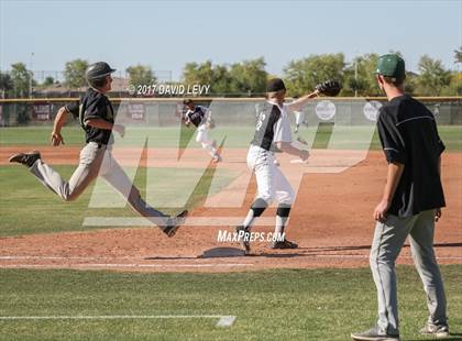 Thumbnail 3 in Basha @ Hamilton photogallery.
