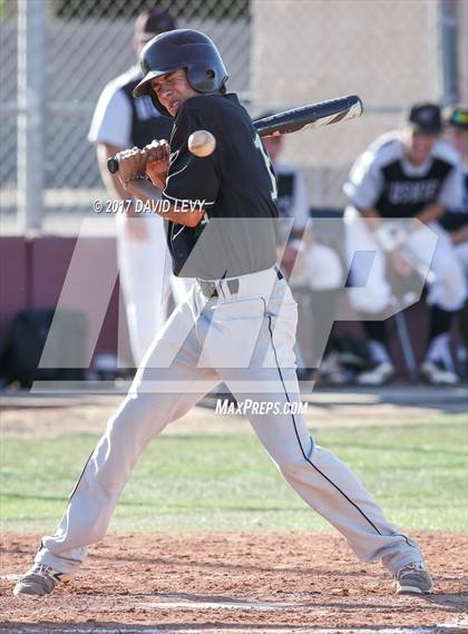 Thumbnail 2 in Basha @ Hamilton photogallery.