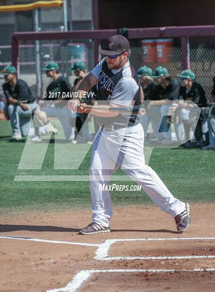 Thumbnail 3 in Basha @ Hamilton photogallery.