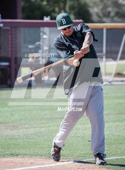 Thumbnail 2 in Basha @ Hamilton photogallery.