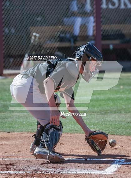 Thumbnail 1 in Basha @ Hamilton photogallery.