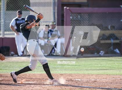 Thumbnail 1 in Basha @ Hamilton photogallery.