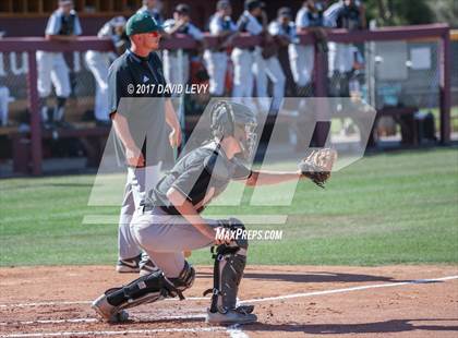 Thumbnail 3 in Basha @ Hamilton photogallery.